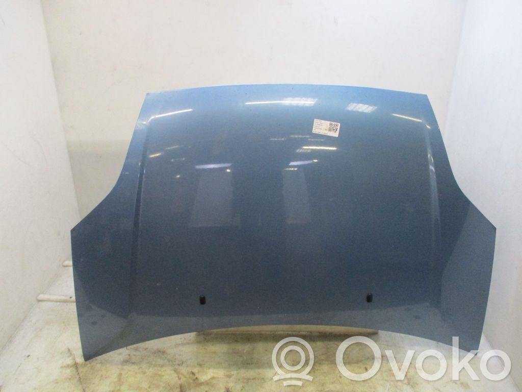 Motorhaube   1346646,22455927,22503433,VDMS4