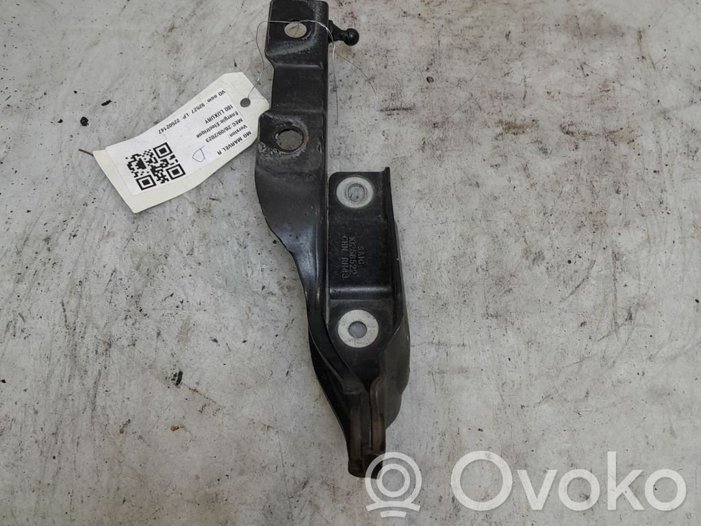 Engine bonnet/hood hinges   12171205,22502147,VDMS4