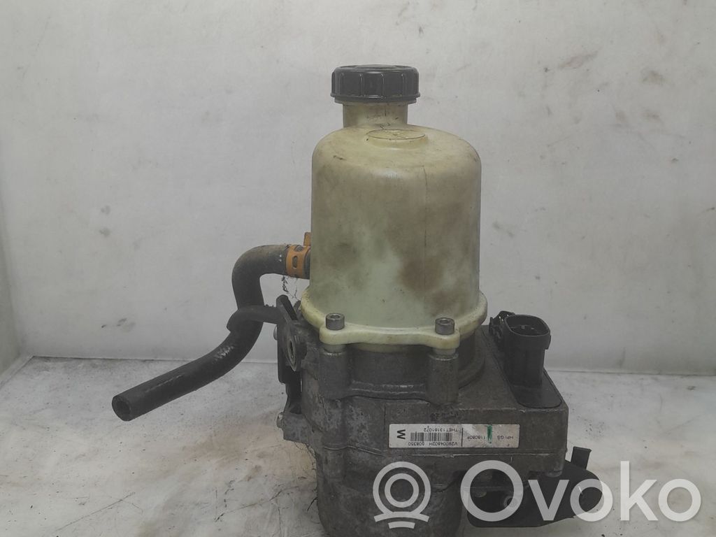 Ohjaustehostimen pumppu   491106619R,22300043,28878840,VDMS4
