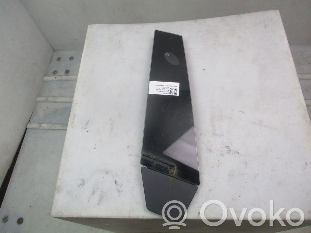 Tesla Model 3 (B) pillar trim (top) 