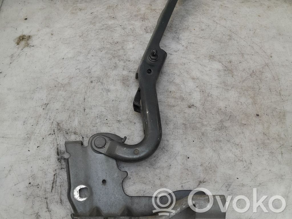 Renault Latitude (L70) Balamale capotă 
