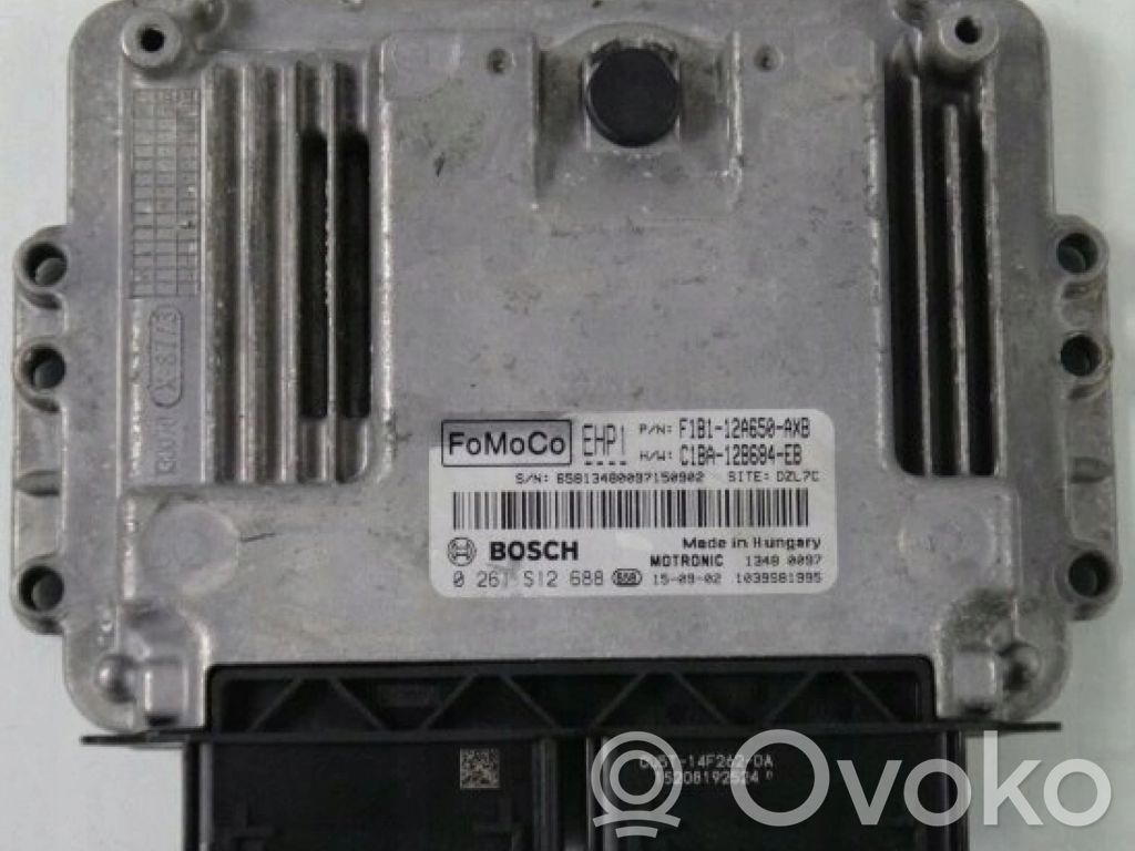 Ford Fiesta Other control units/modules 