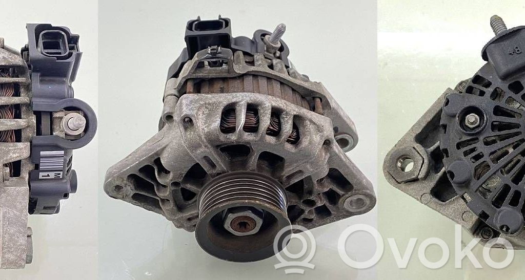 Generator/alternator   2655447,373002B101