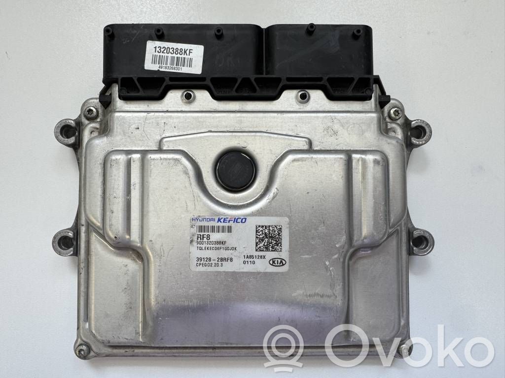 KIA Sportage Engine control unit/module 