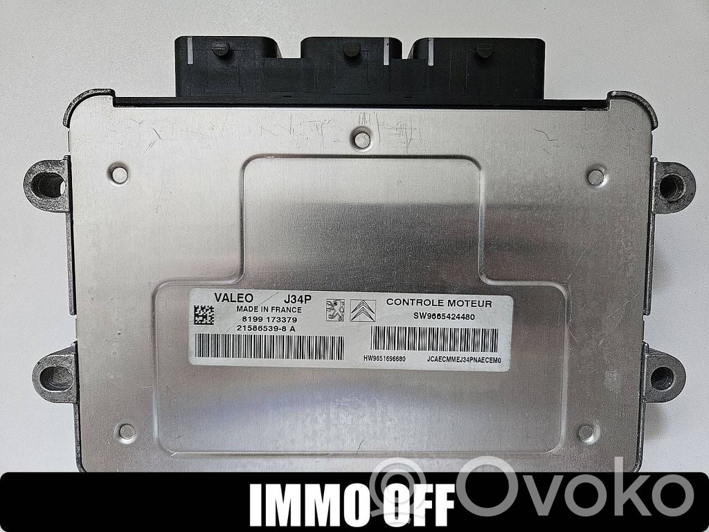 Peugeot 207 Engine control unit/module 