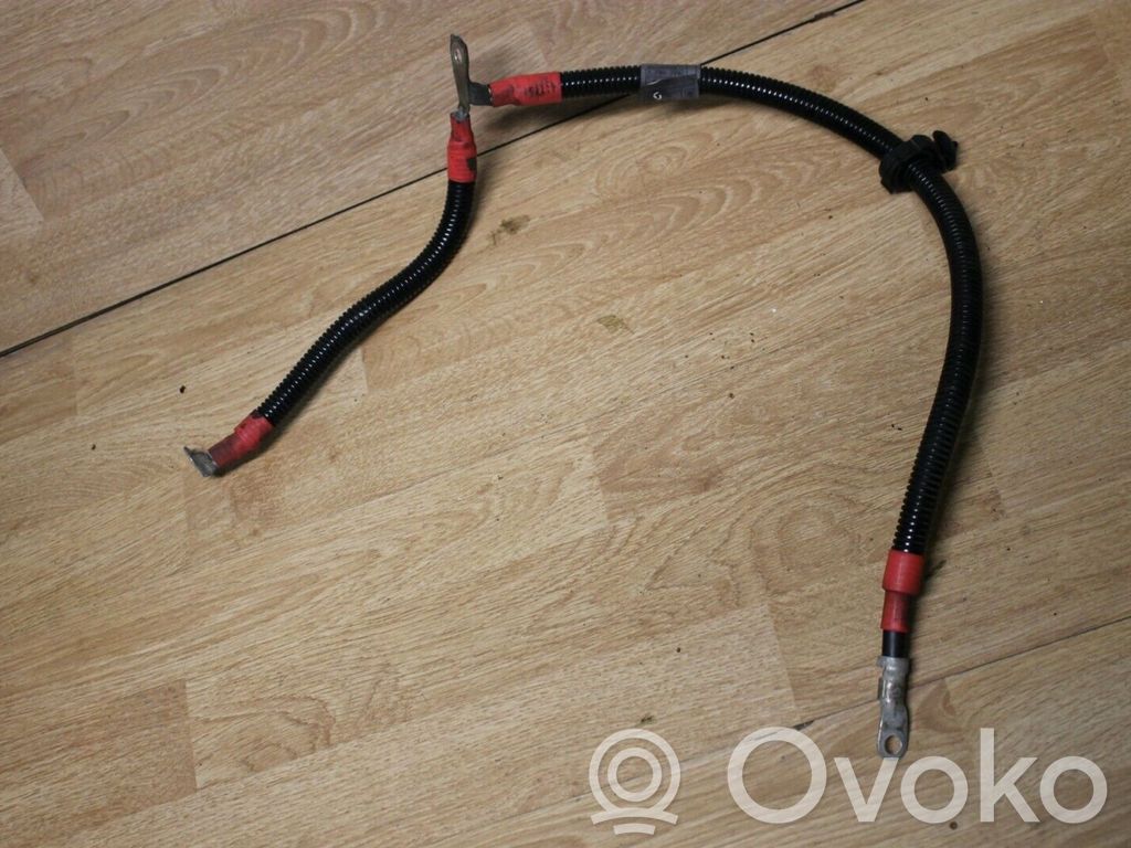 Cables (alternador)   7795779