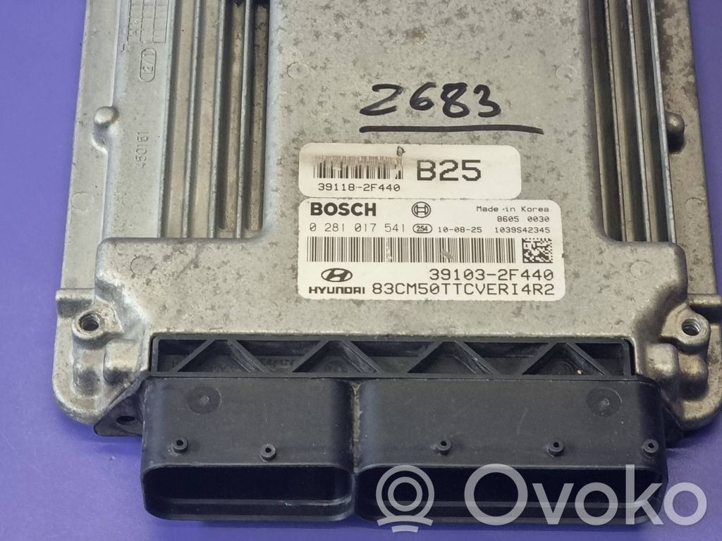Hyundai Santa Fe Engine control unit/module 