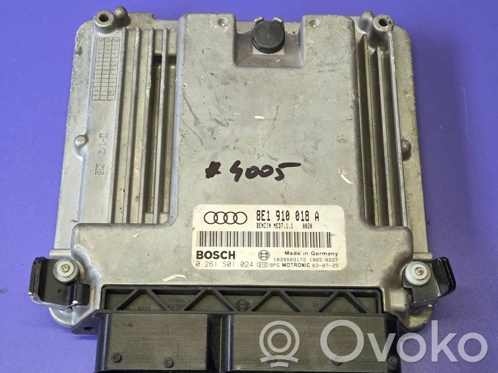 Sterownik / Moduł ECU   0261S01024,8E1910018A,1039S03172
