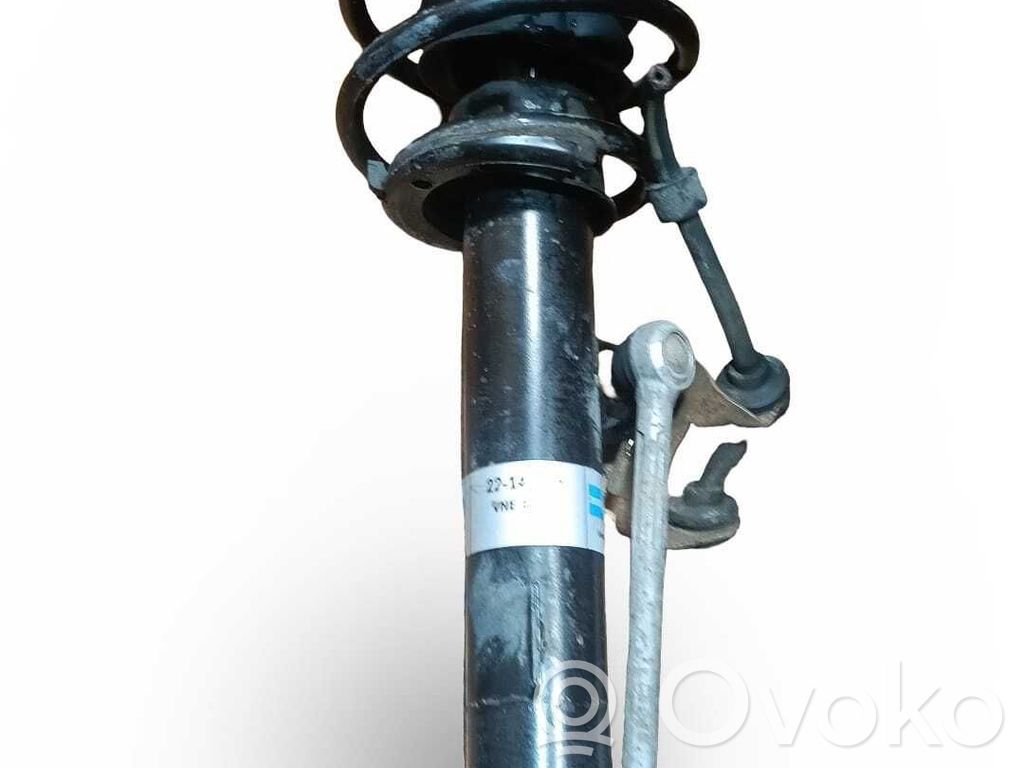 Stoßdämpfer vorne   22144263