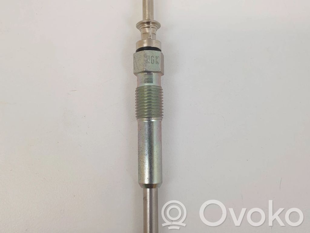Glow plug   Y507J,2248059,DPW32