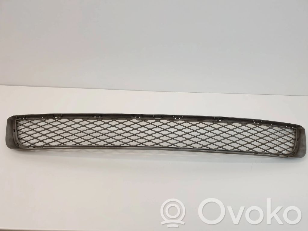 BMW X5 E70 Front bumper lower grill 