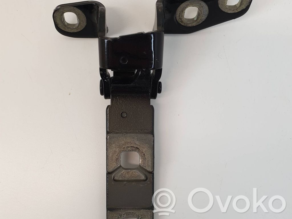 BMW X5 E70 Tailgate/trunk/boot hinge 