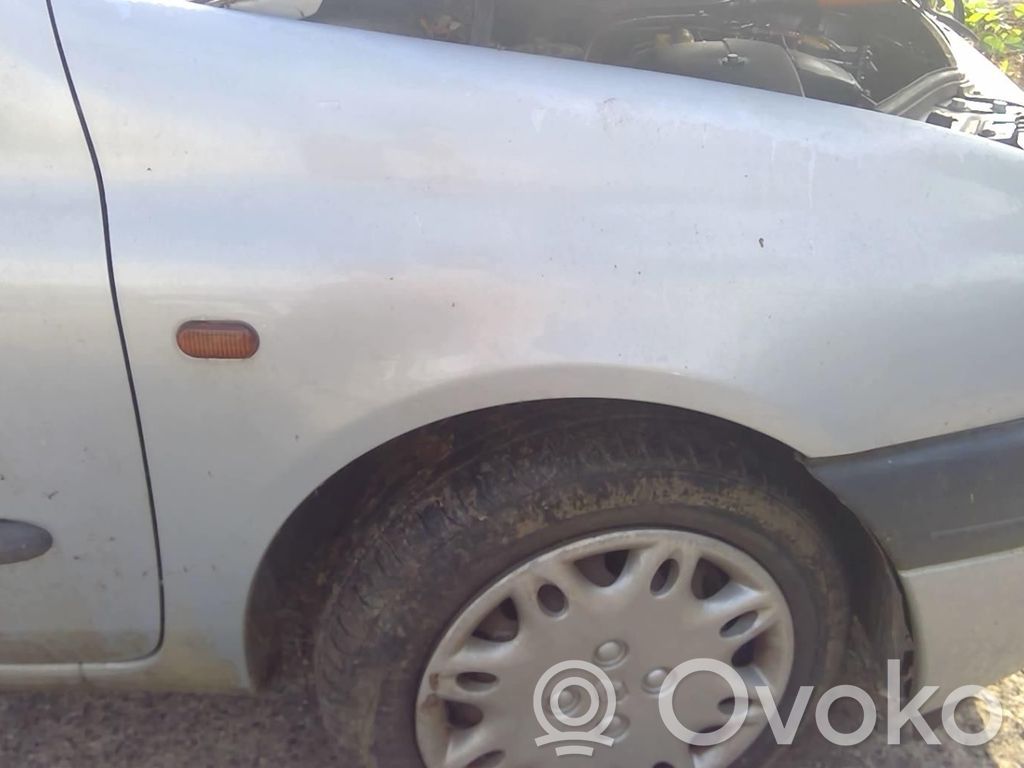 Renault Clio II Spārns 