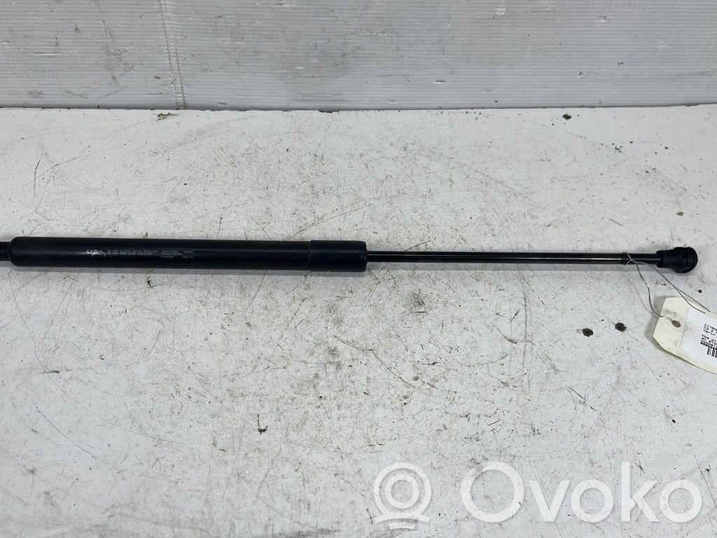 Citroen C3 Tailgate/trunk strut/damper 