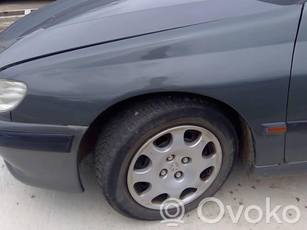 Peugeot 406 Sparnas 