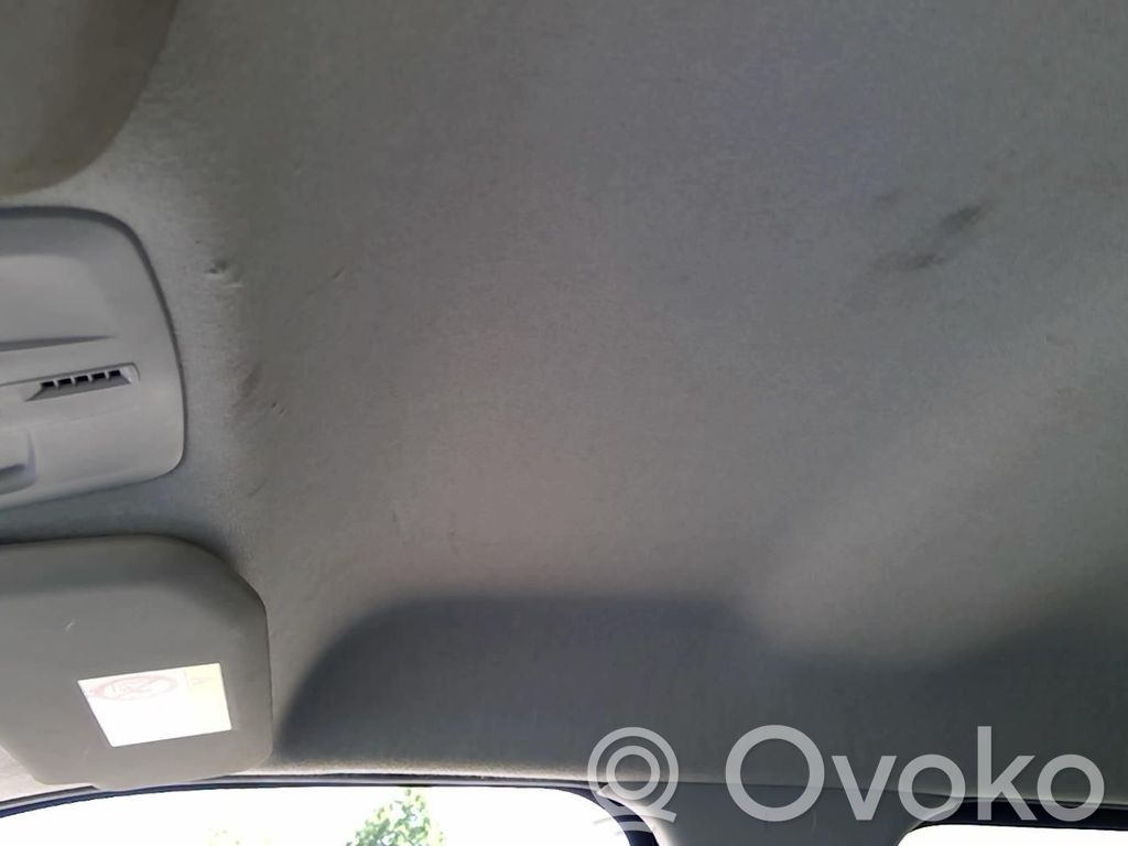 Citroen C4 Cactus Techo 