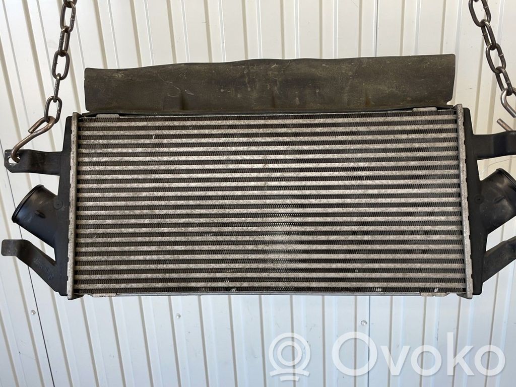 Intercooler radiator   5058619AB