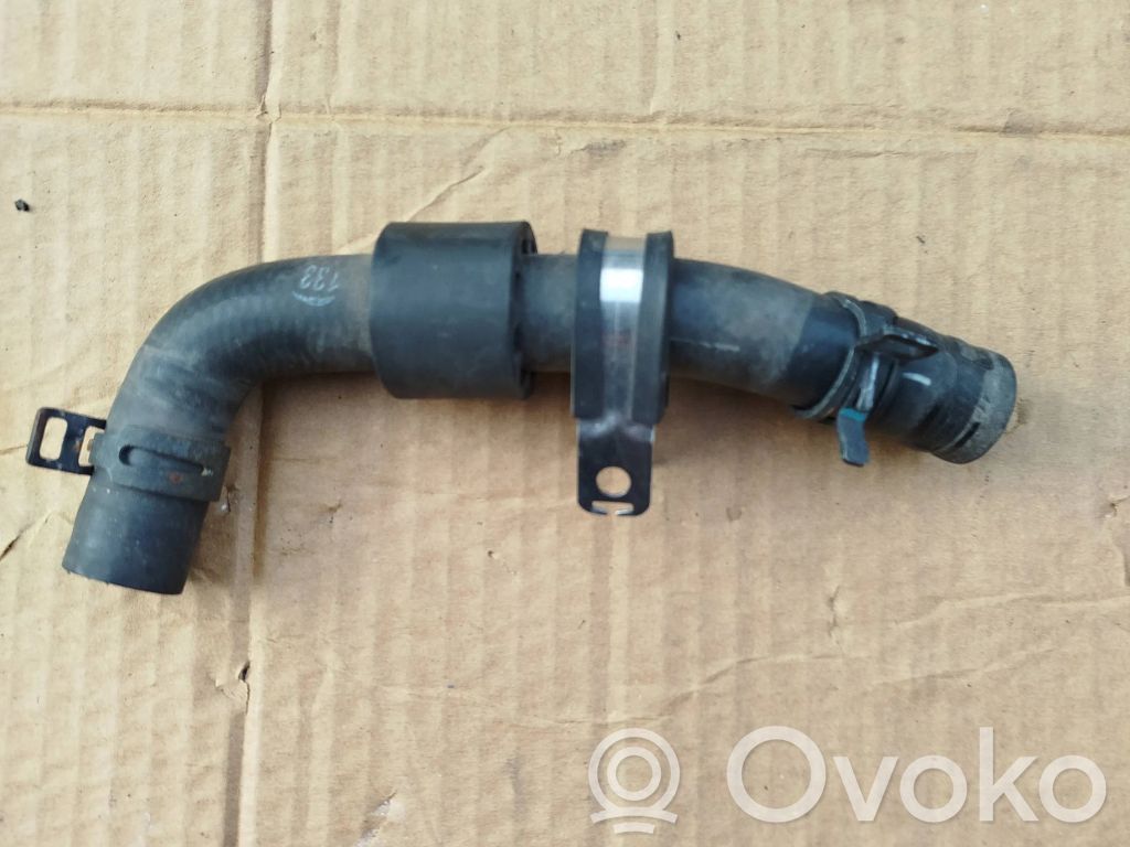 Porsche Panamera (970) Conductă/furtun lichid de răcire motor 