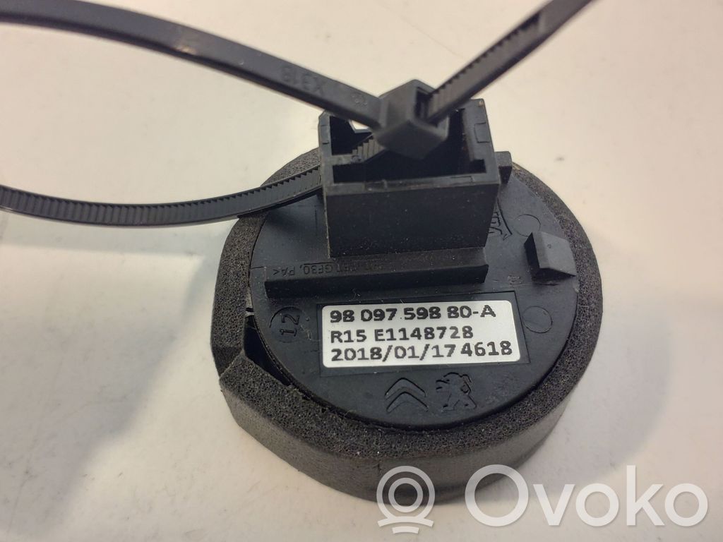 Citroen C3 Aircross Immobiliser reader (aerial) 
