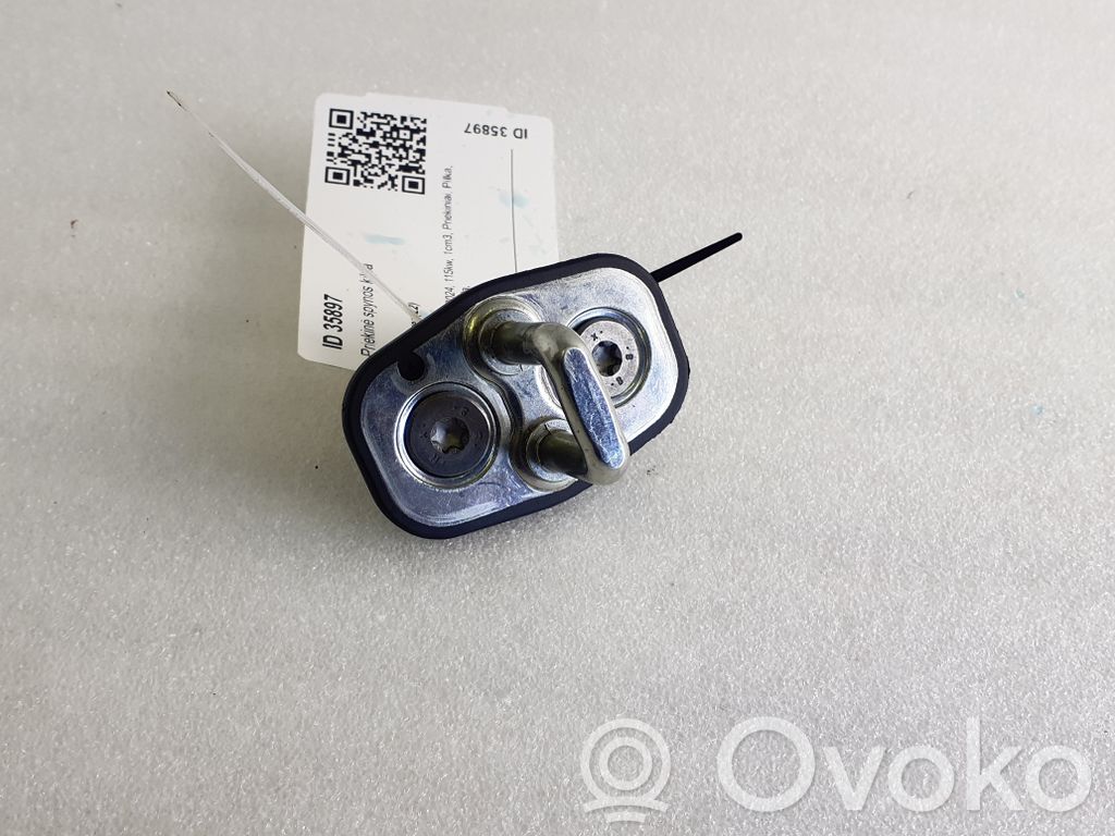 Jeep Avenger Front door lock loop/hook striker 