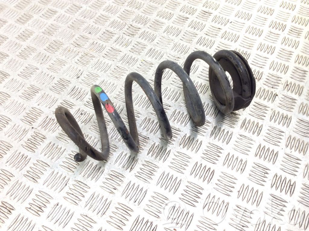 Rear coil spring