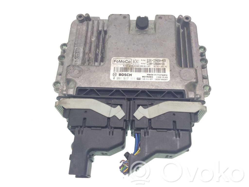 Engine control unit/module   0261S17111,G1B112A650AE,C1BA12B684EB