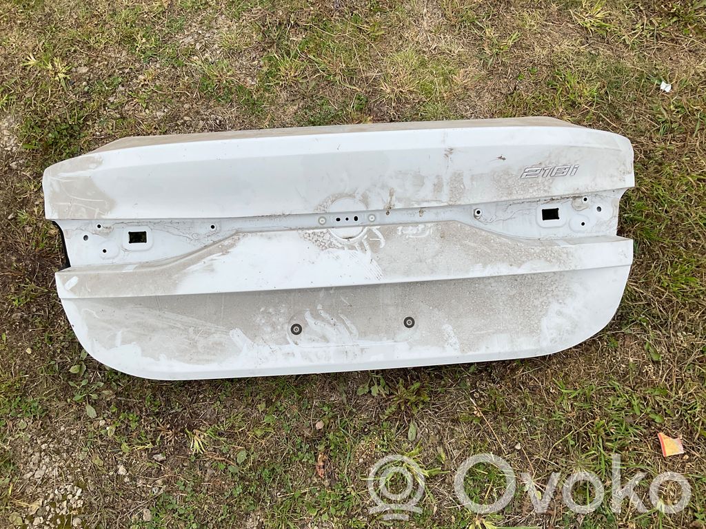 Tailgate/trunk/boot lid