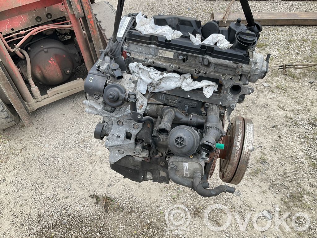 Engine   CNH