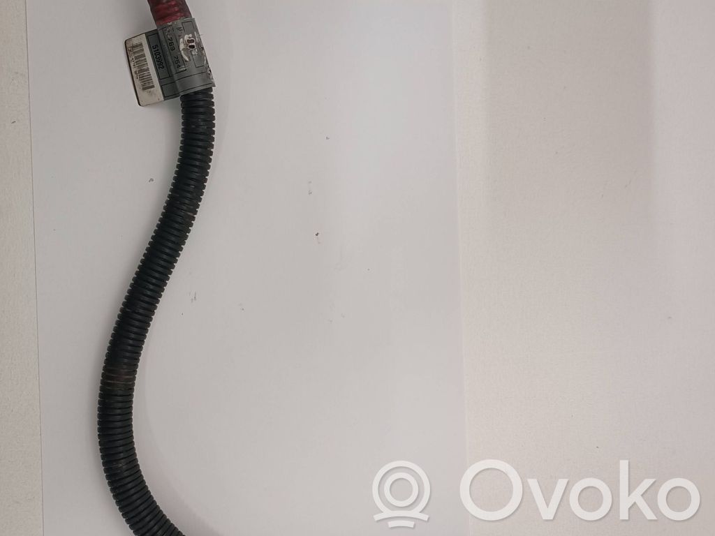 Positive cable (battery)   7789754,5103992,090703