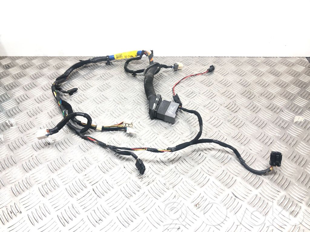 KIA Sorento Cableado de puerta delantera 
