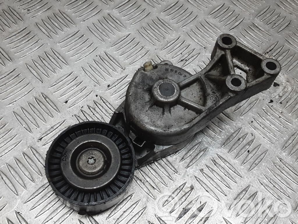 Volkswagen Bora Diržo įtempėjas 