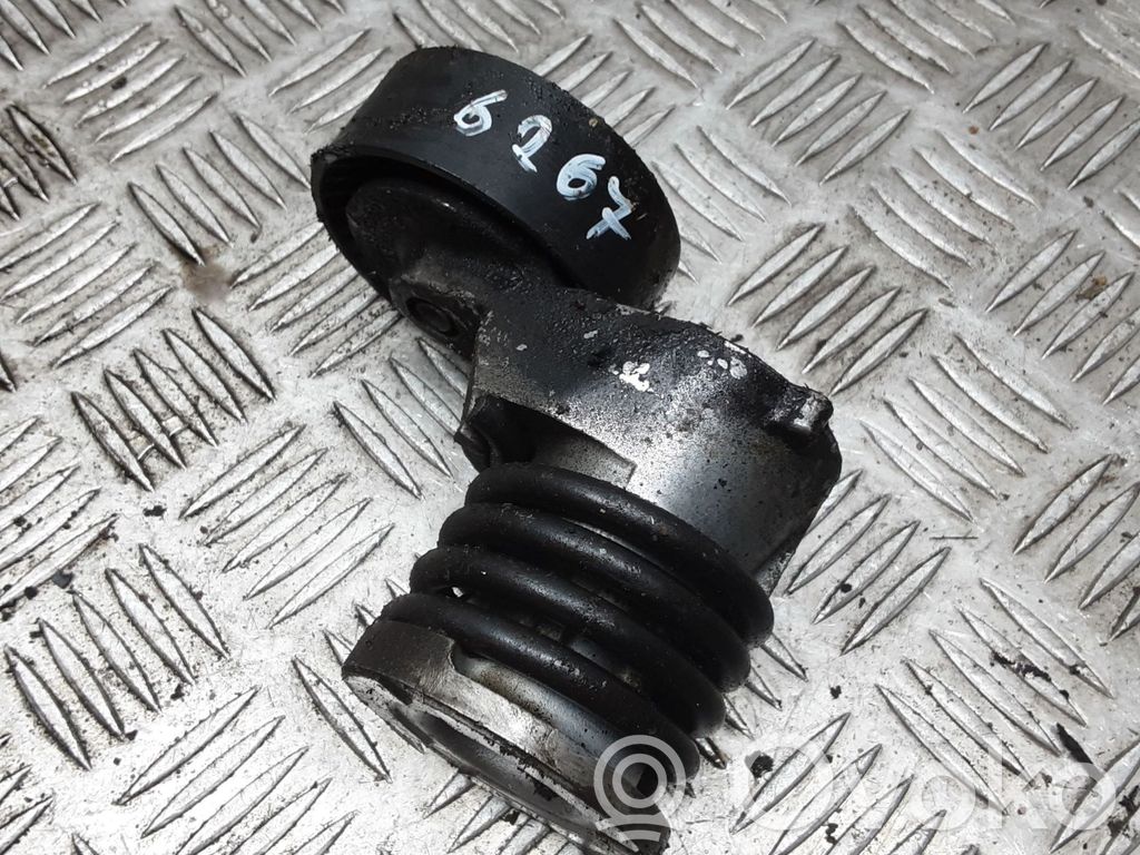 Volkswagen Polo Napinacz paska alternatora 