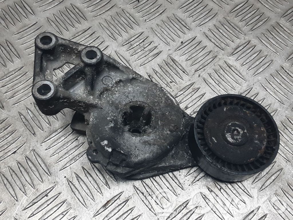 Volkswagen PASSAT B6 Diržo įtempėjas 