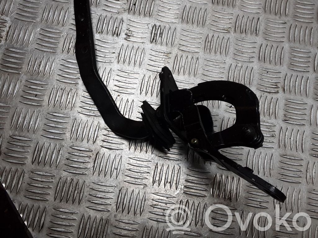 Tailgate/trunk/boot hinge   8645157,6570