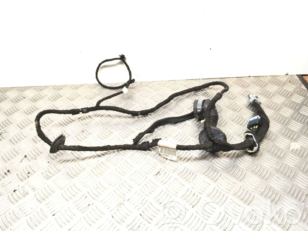 Citroen C5 Cableado de puerta trasera 