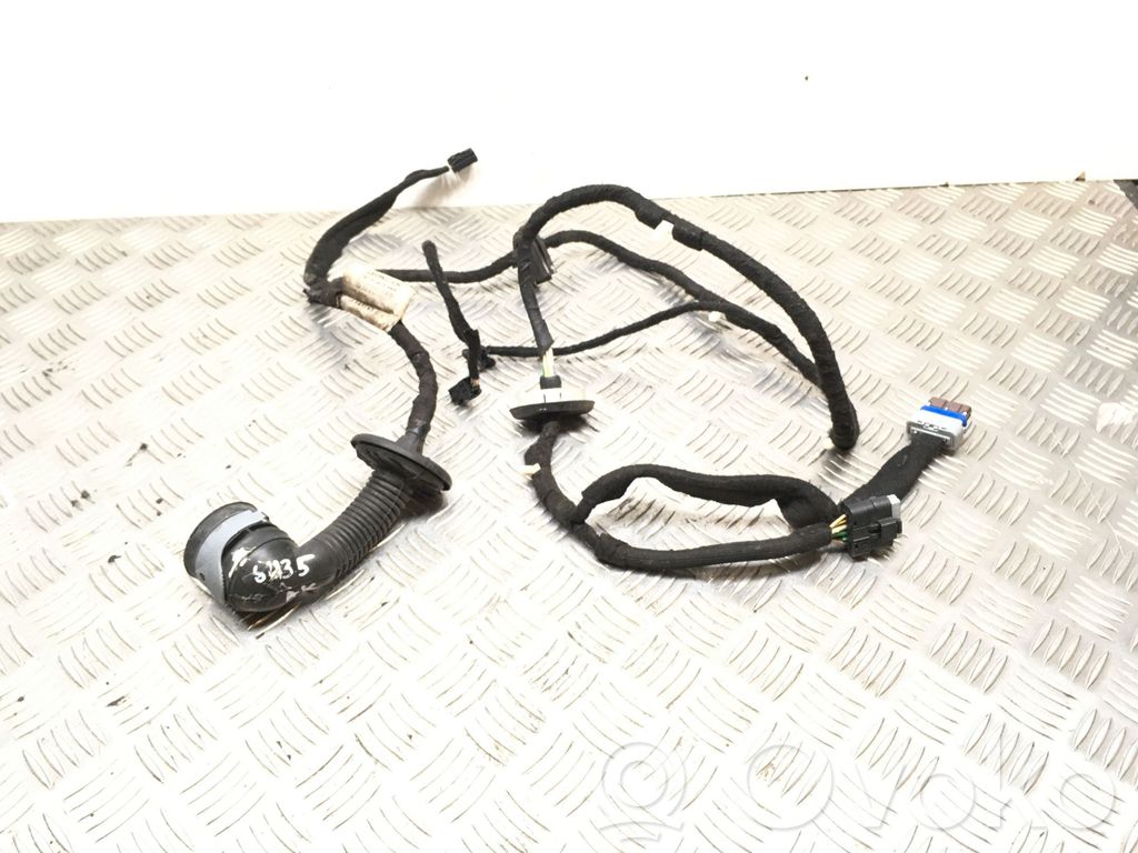 Citroen C5 Cableado de puerta trasera 
