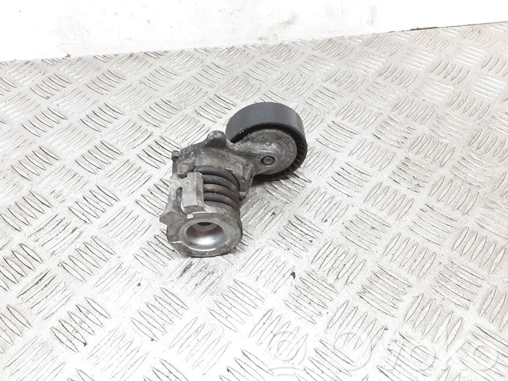 Volkswagen Polo Napinacz paska alternatora 
