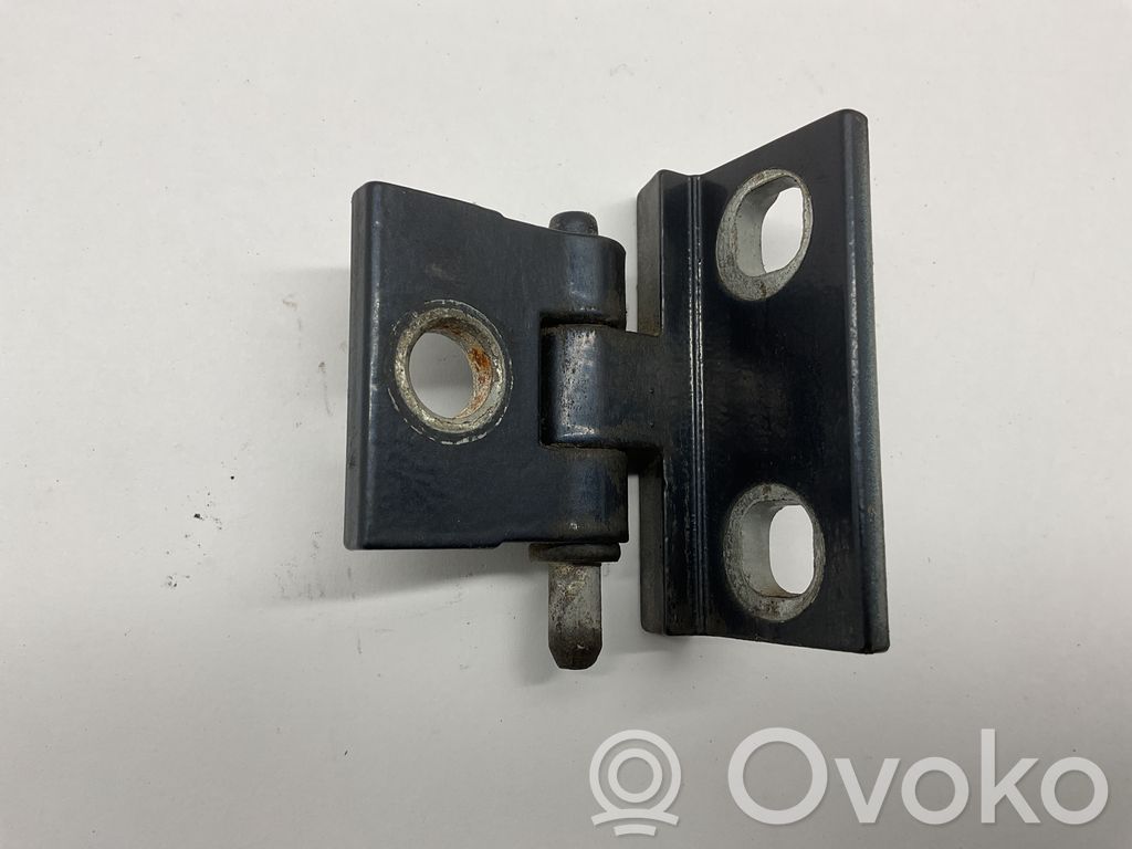 Rear door lower hinge