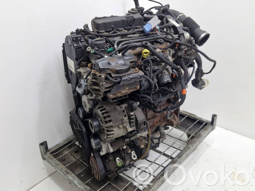 Motor   DW10FC