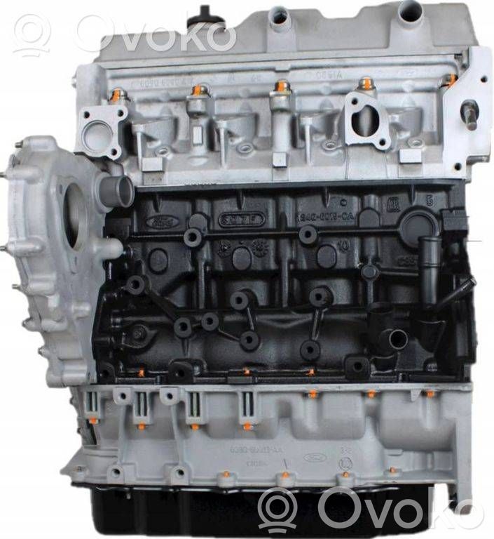 Ford Transit Blokas 