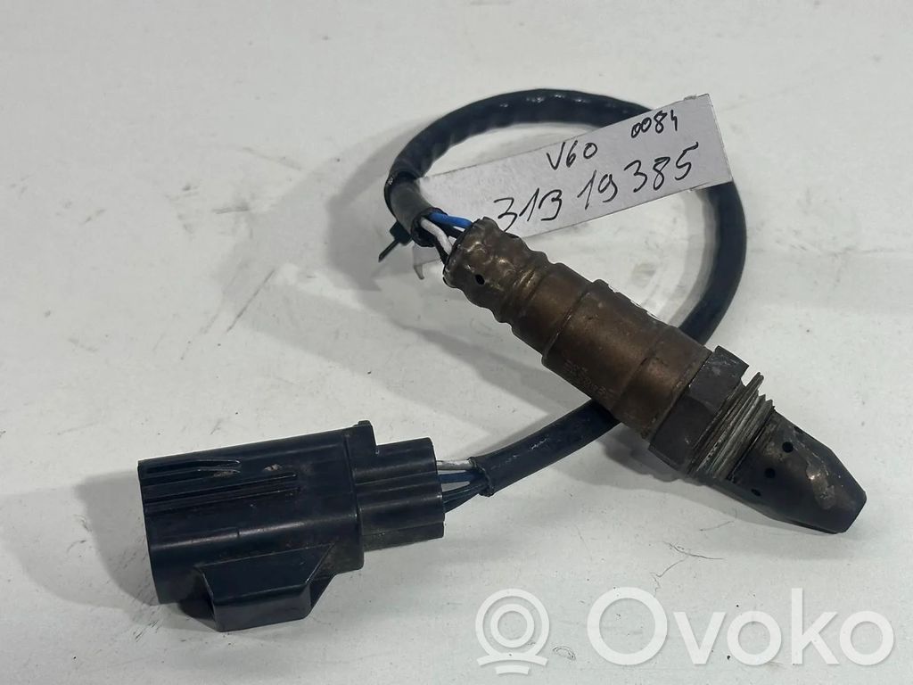 Lambda zondas   31319385