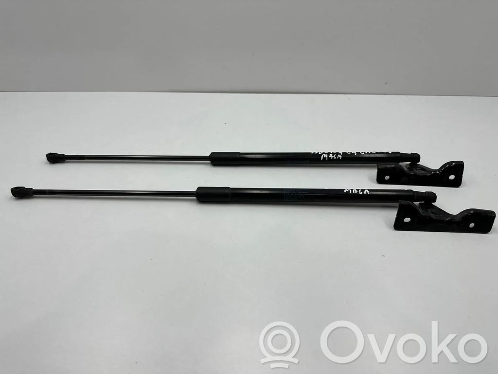 Citroen C4 Cactus Tailgate/trunk strut/damper 