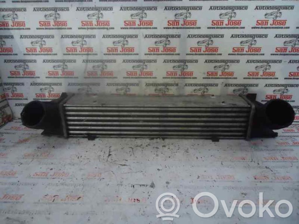 Radiador intercooler   17517524916