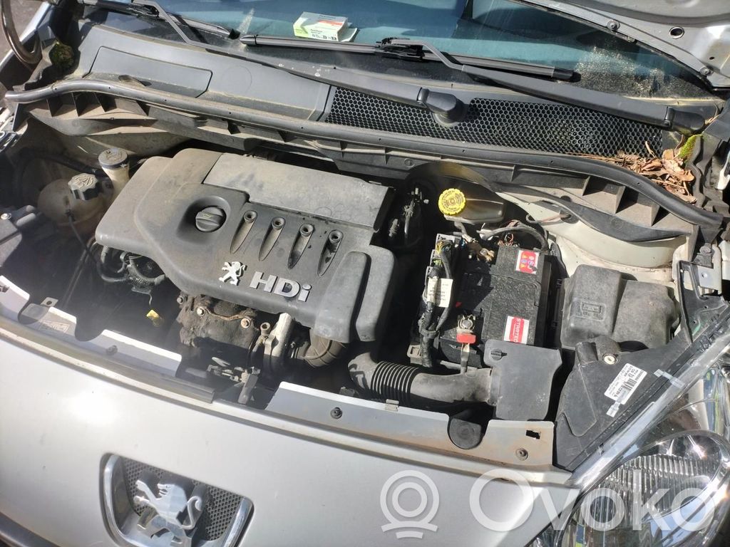 Peugeot 1007 Generatorius 