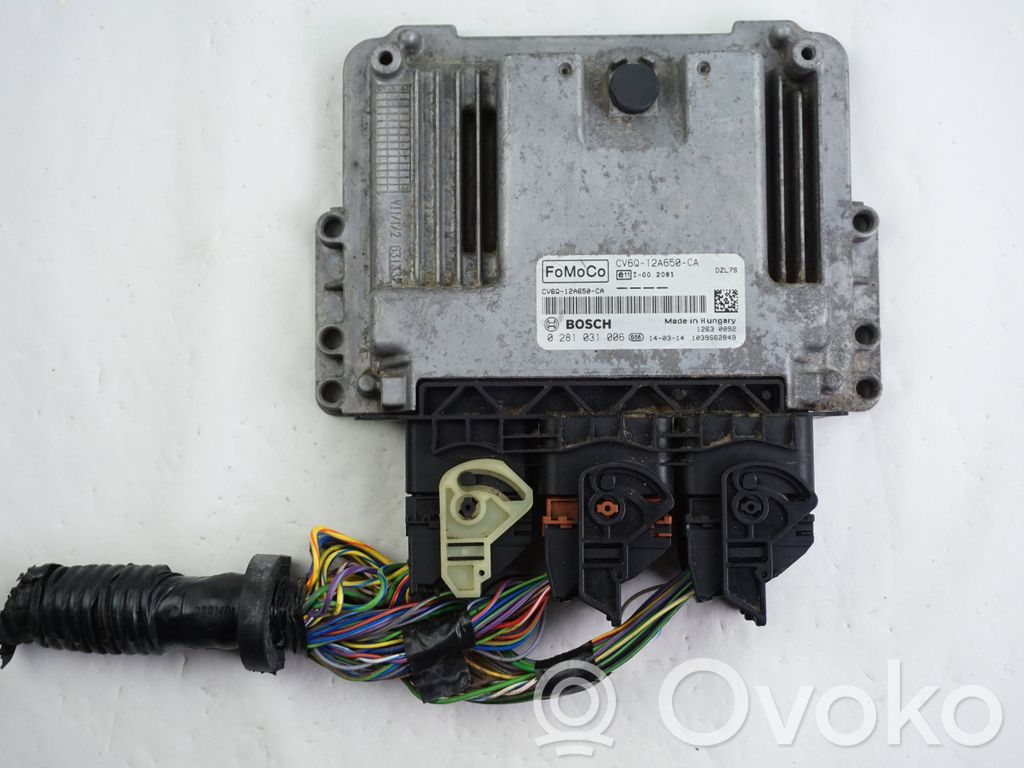 Ford Focus Engine control unit/module 