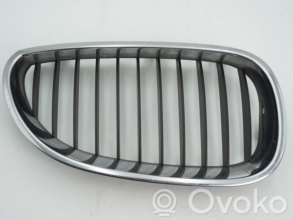 Front grill   7065702,7027062,51137027062