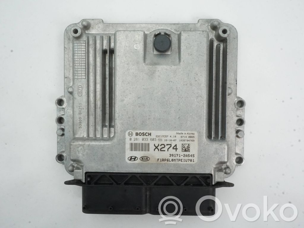 Engine control unit/module   391712A545,0281033603