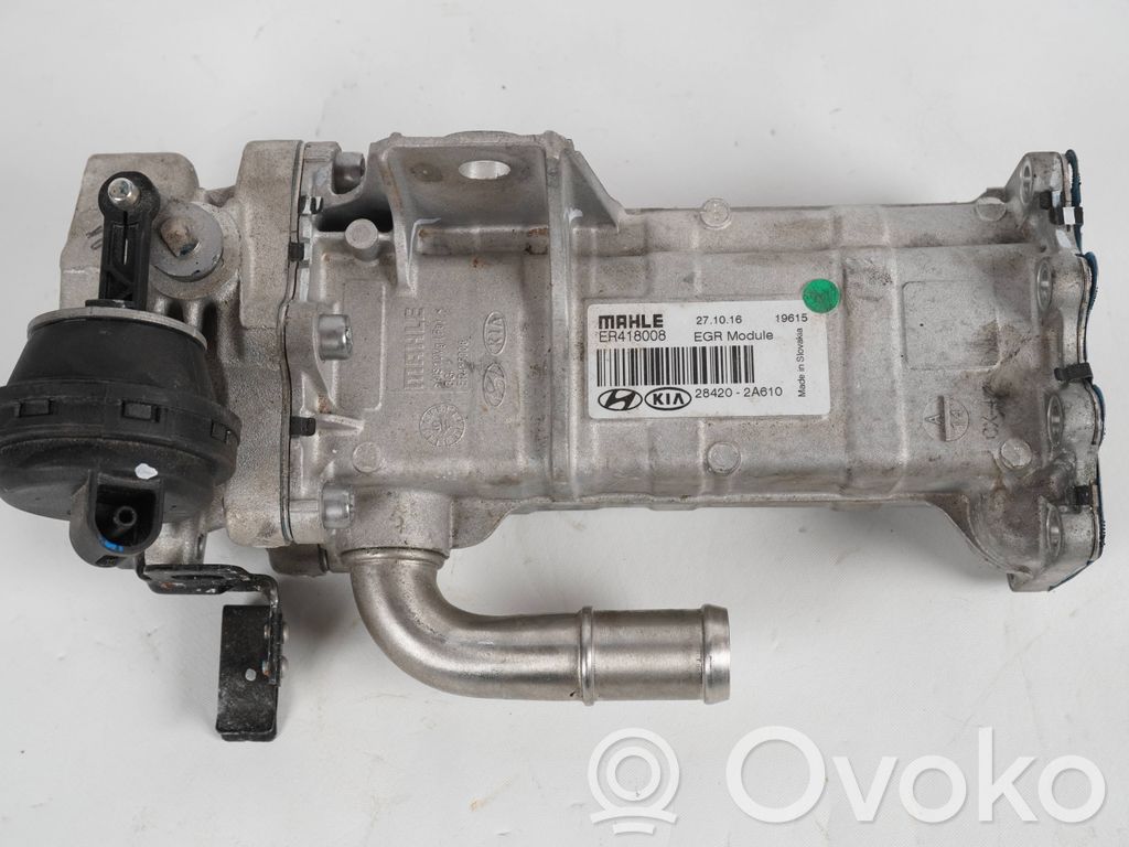 KIA Ceed Refrigerador de la válvula EGR 