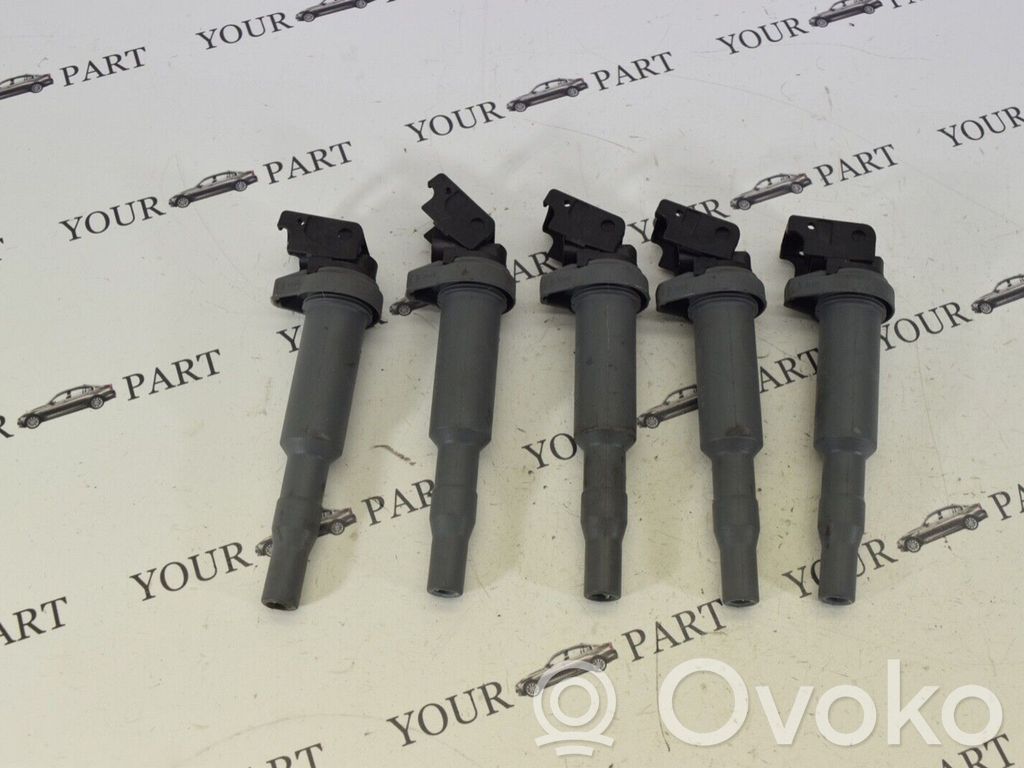 High voltage ignition coil   221504471