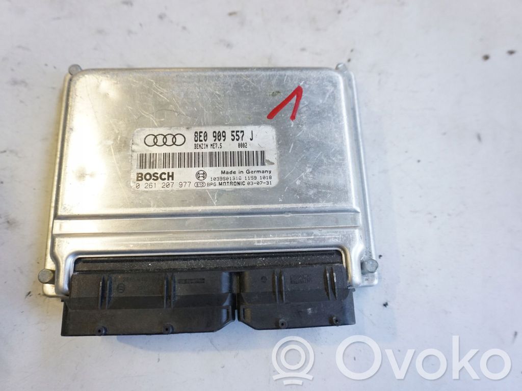 Audi A4 S4 B6 8E 8H Engine control unit/module 